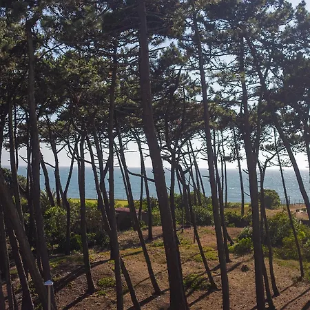 Watergreenportugal Lägenhet Ofir